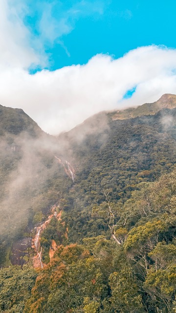 Marojejy National Park