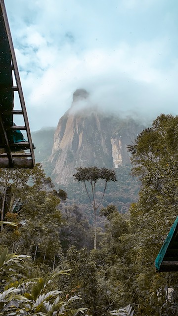 Marojejy National Park