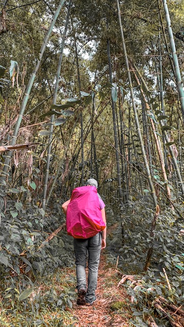 Marojejy National Park