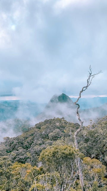 Marojejy National Park