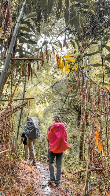 Marojejy National Park
