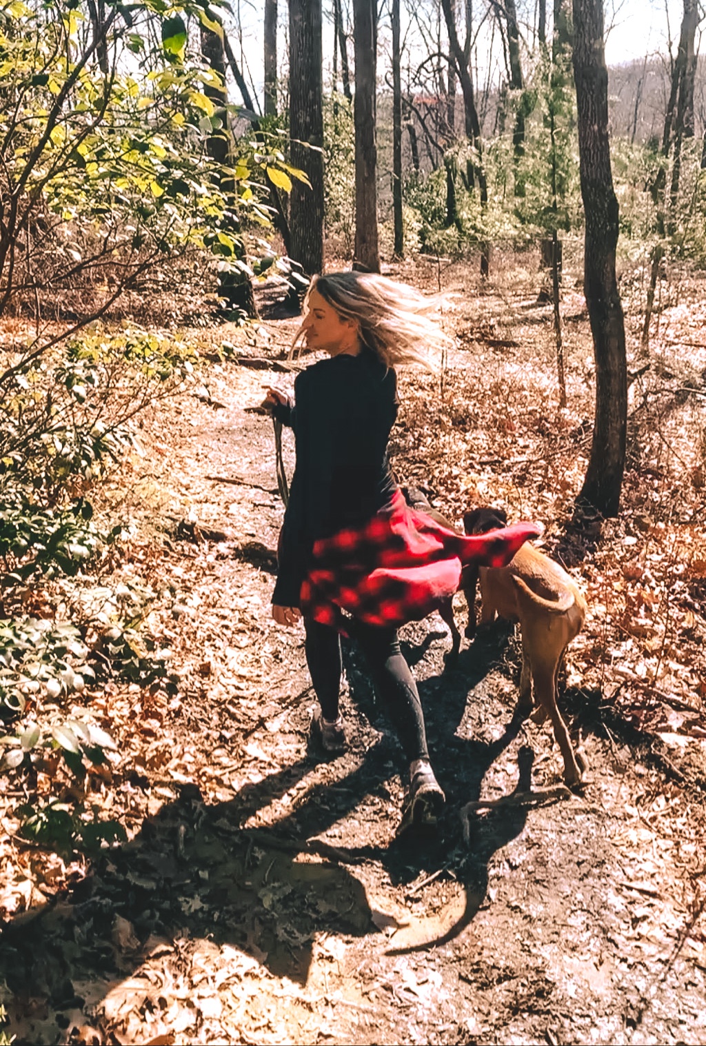 Pisgah National Forest