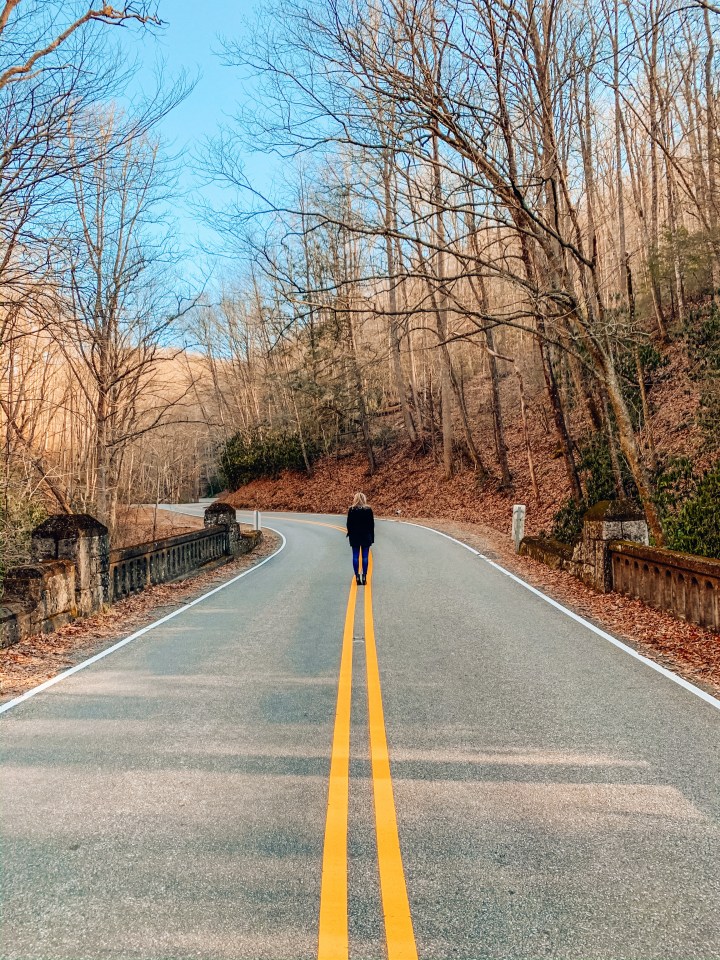 36 Hours in Pisgah National&nbsp;Forest