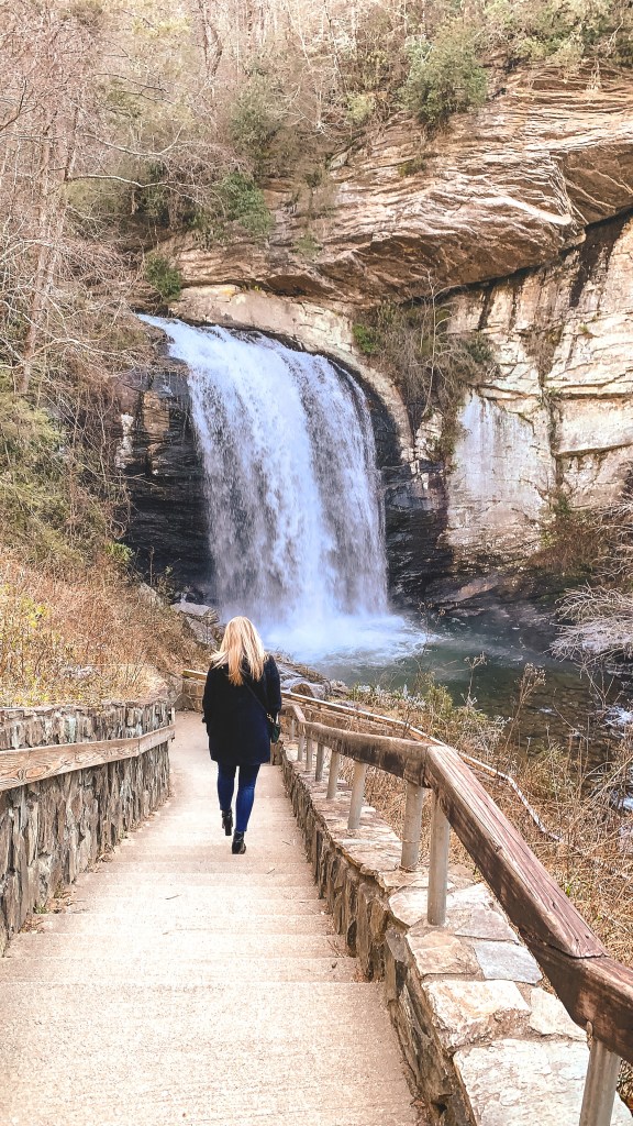 Pisgah National Forest