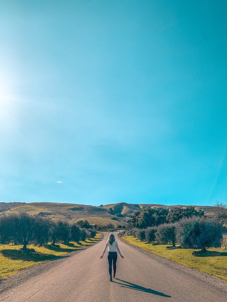 Gloria Ferrer, Sonoma