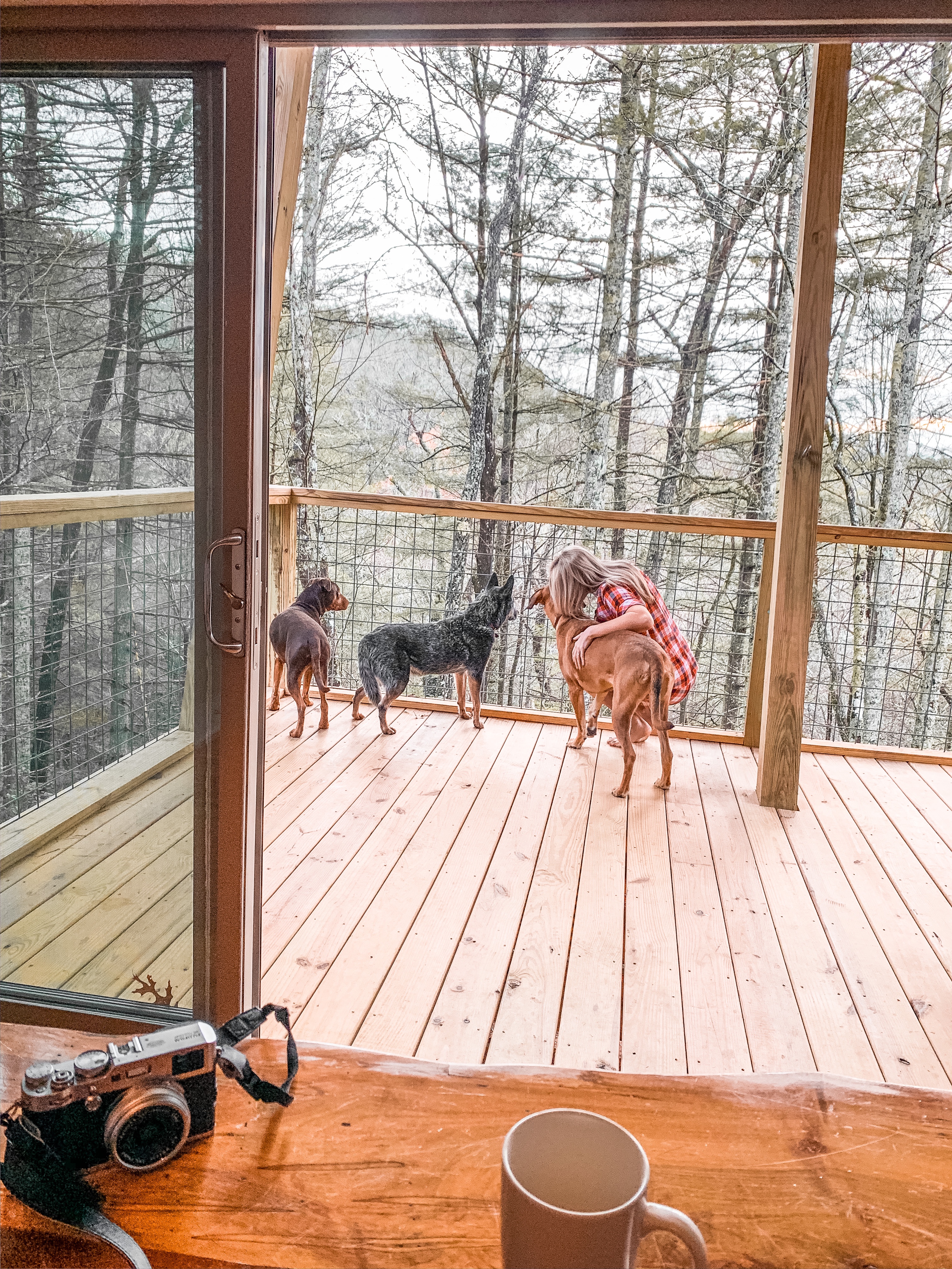 pisgah national forest