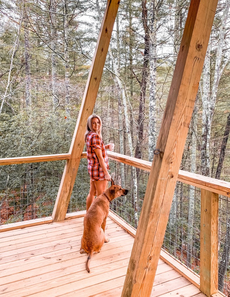 pisgah national forest