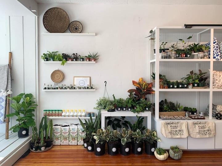 Support Small Businesses – Shop&nbsp;Local!