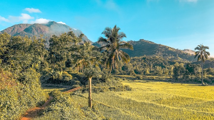 Lemurs, Leeches and Summiting Marojejy National Park,&nbsp;Madagascar