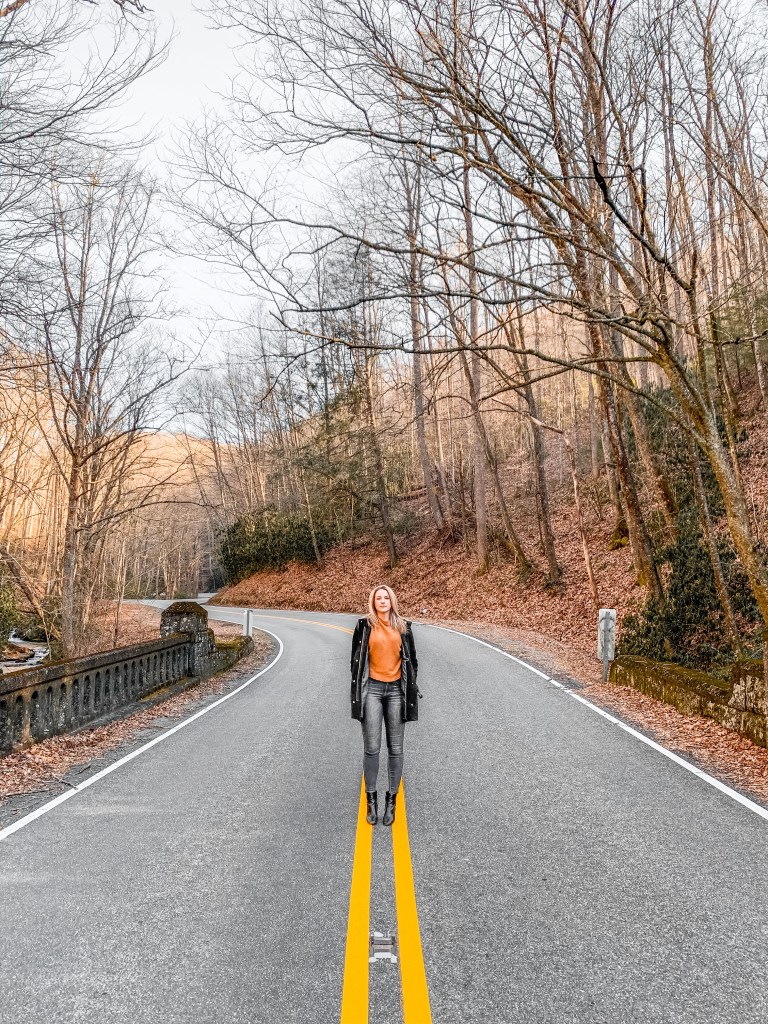 Pisgah National Forest